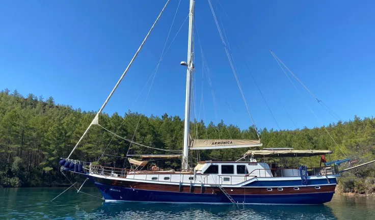 ARMONICA Anchored