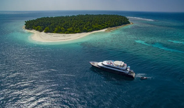 AZALEA Anchored
