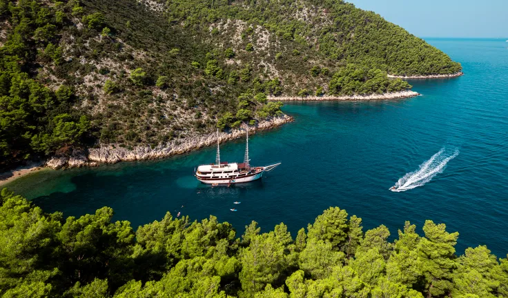 CESARICA Anchored