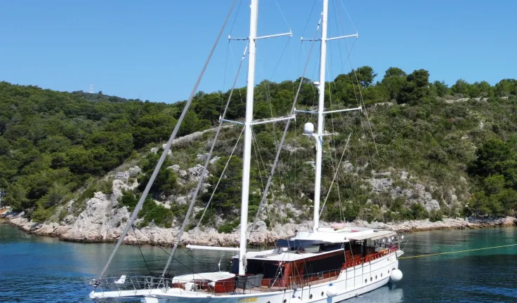 Vivere anchored