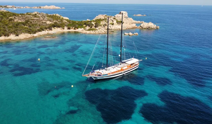 ELIANORA Anchored