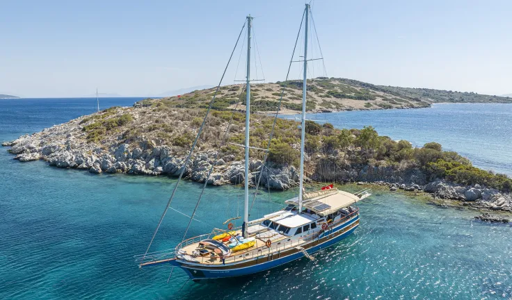 GOZDEM THE ONE Anchored
