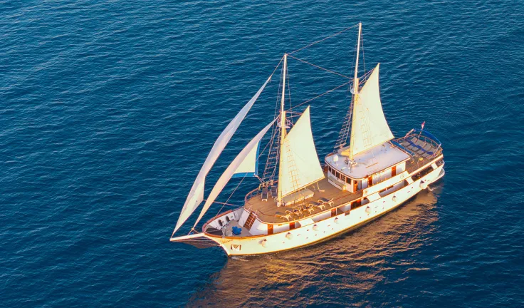 MENDULA Sailing