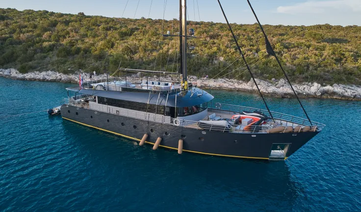 RARA AVIS Anchored