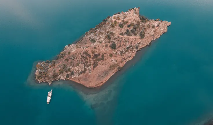turkey