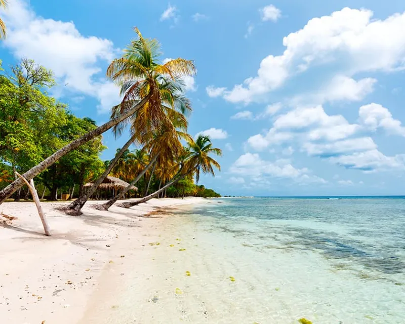 Idyllic-tropical-beach-with-white-sand-palm-trees-and-turquoise-Caribbean-sea-water-on-Mustique-island-in-St-Vincent-and-the-Grenadines-2