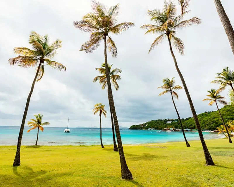 Idyllic-tropical-beach-with-white-sand-palm-trees-and-turquoise-Caribbean-sea-water-on-Mustique-island-in-St-Vincent-and-the-Grenadines