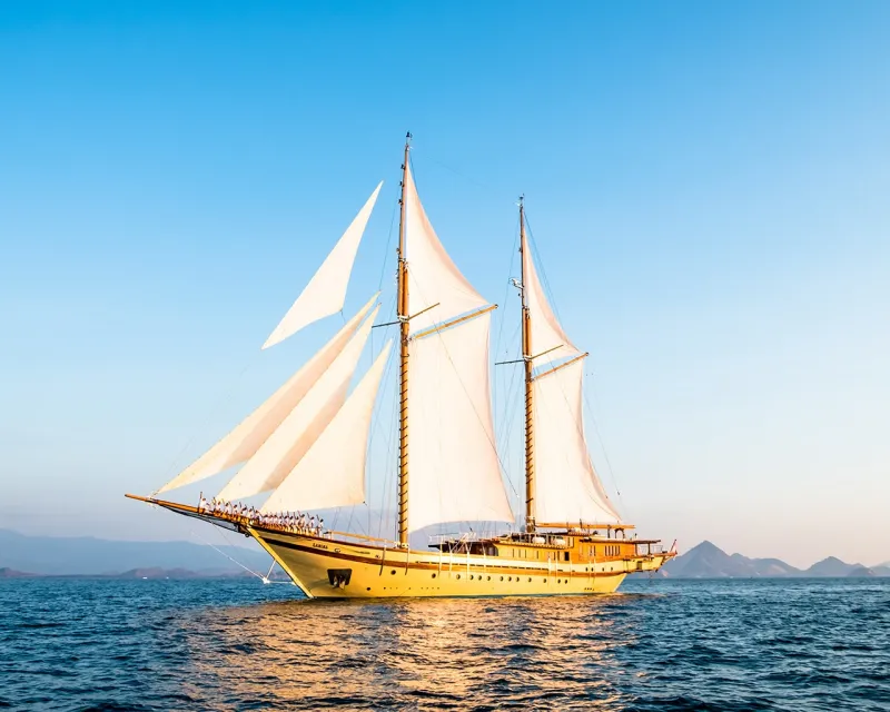 LAMIMA Sailing