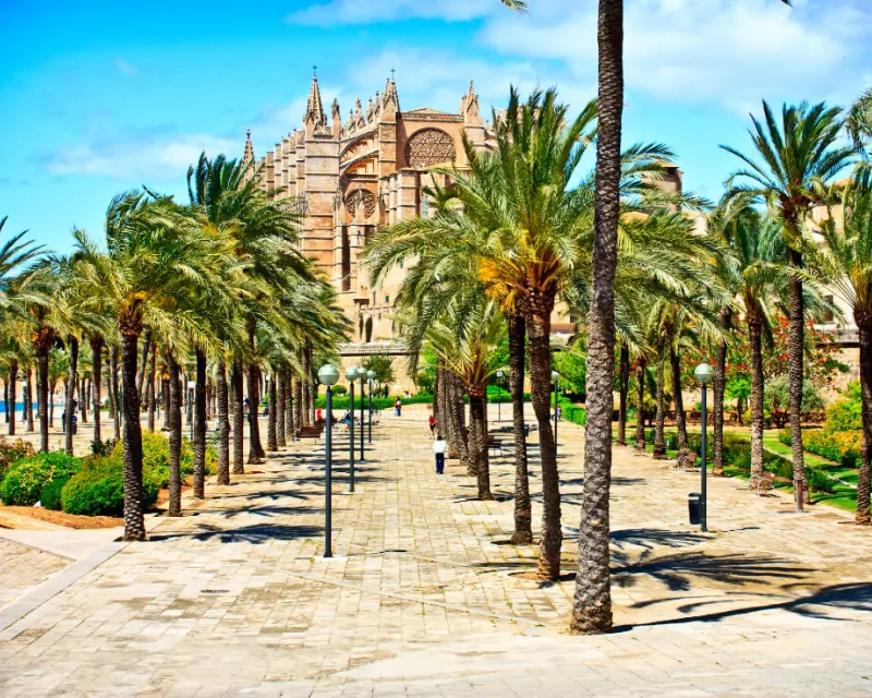 Palma