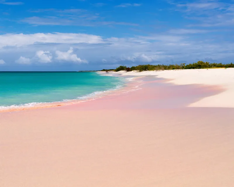 Tropical beach on Barbuda island