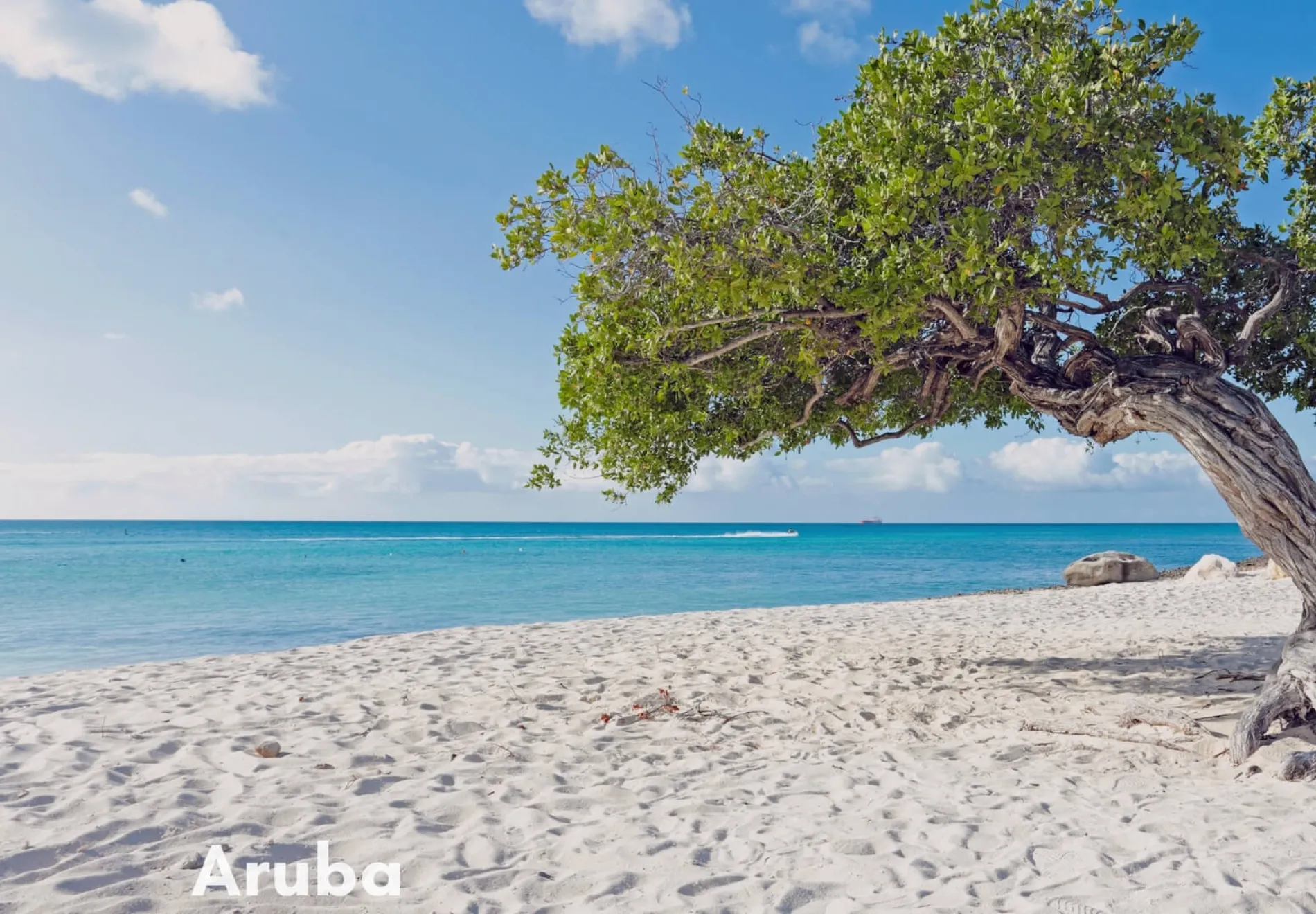 Aruba