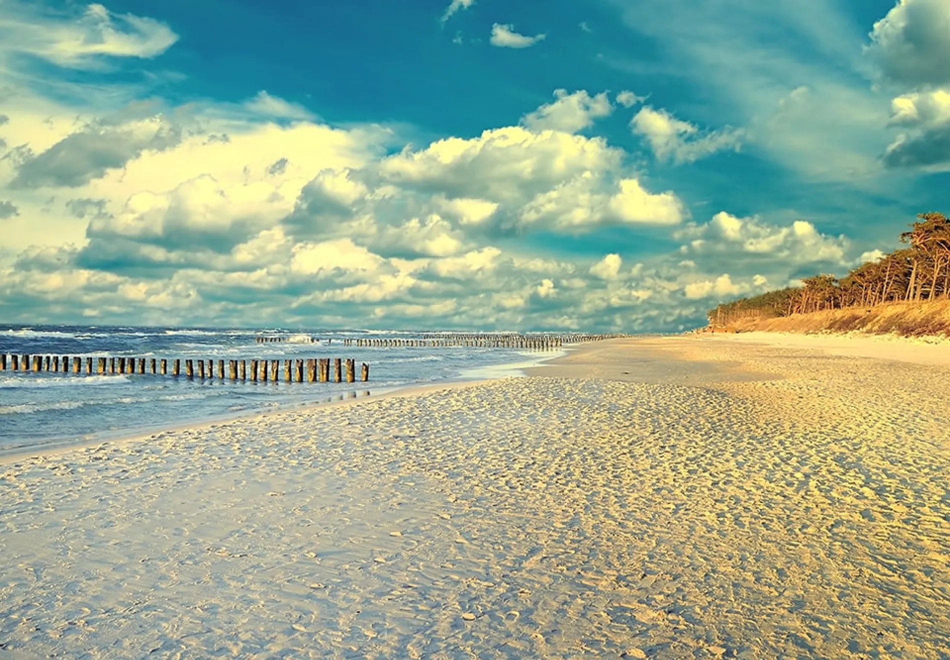 Baltic-Sea-and-seashore