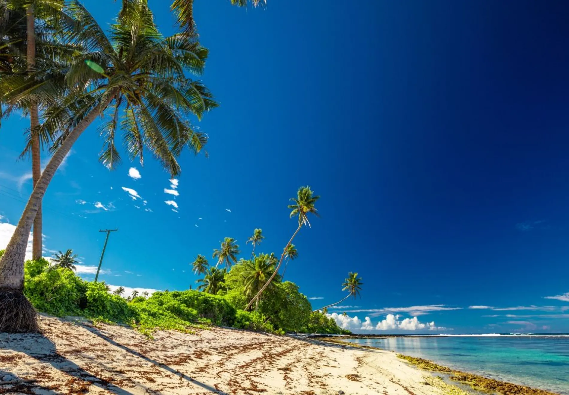 Beach-with-coral-reef-on-south-side-of-Upolu-framed-by-palm-leaves-Samoa-Islands