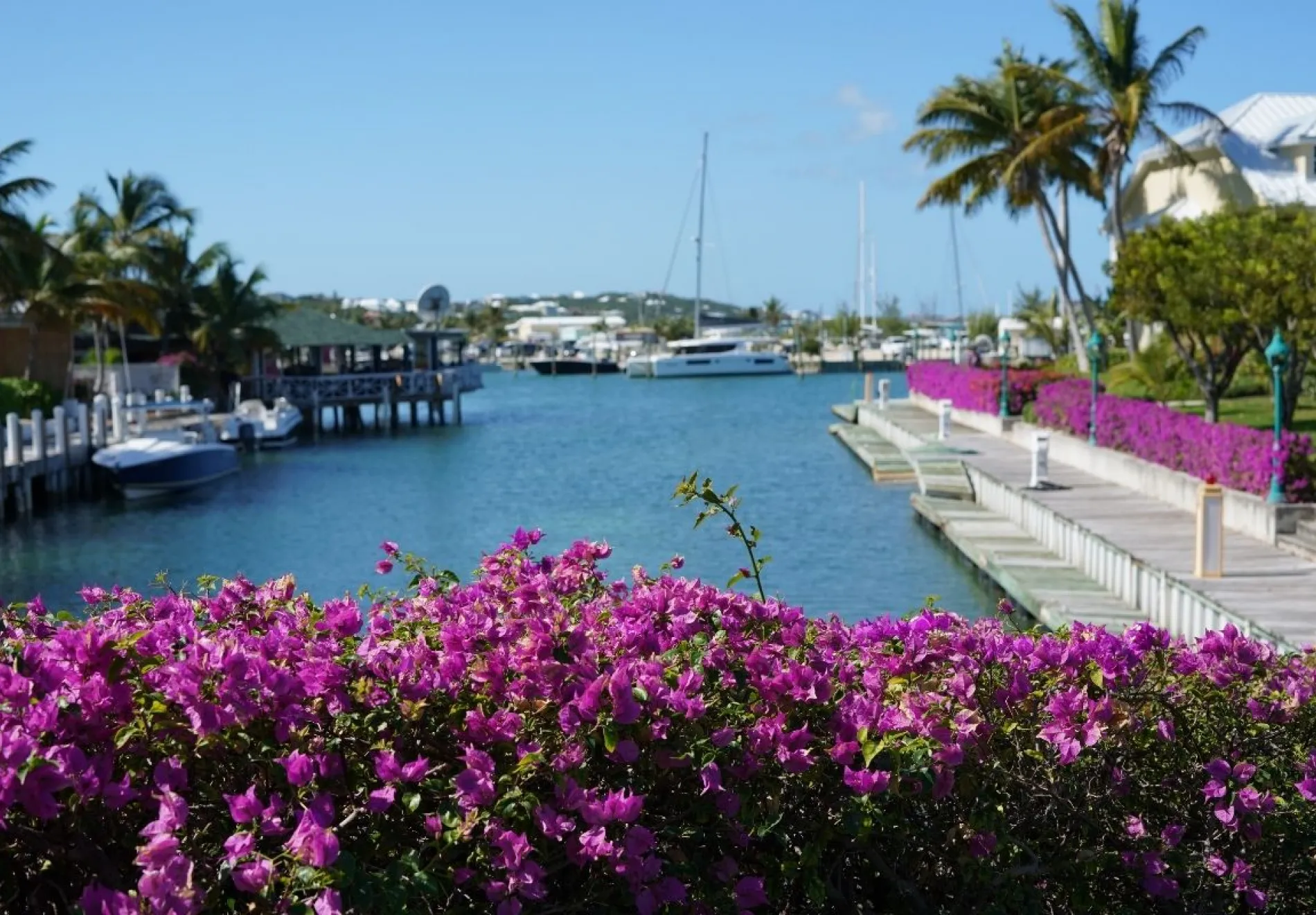 Caribbean yacht show