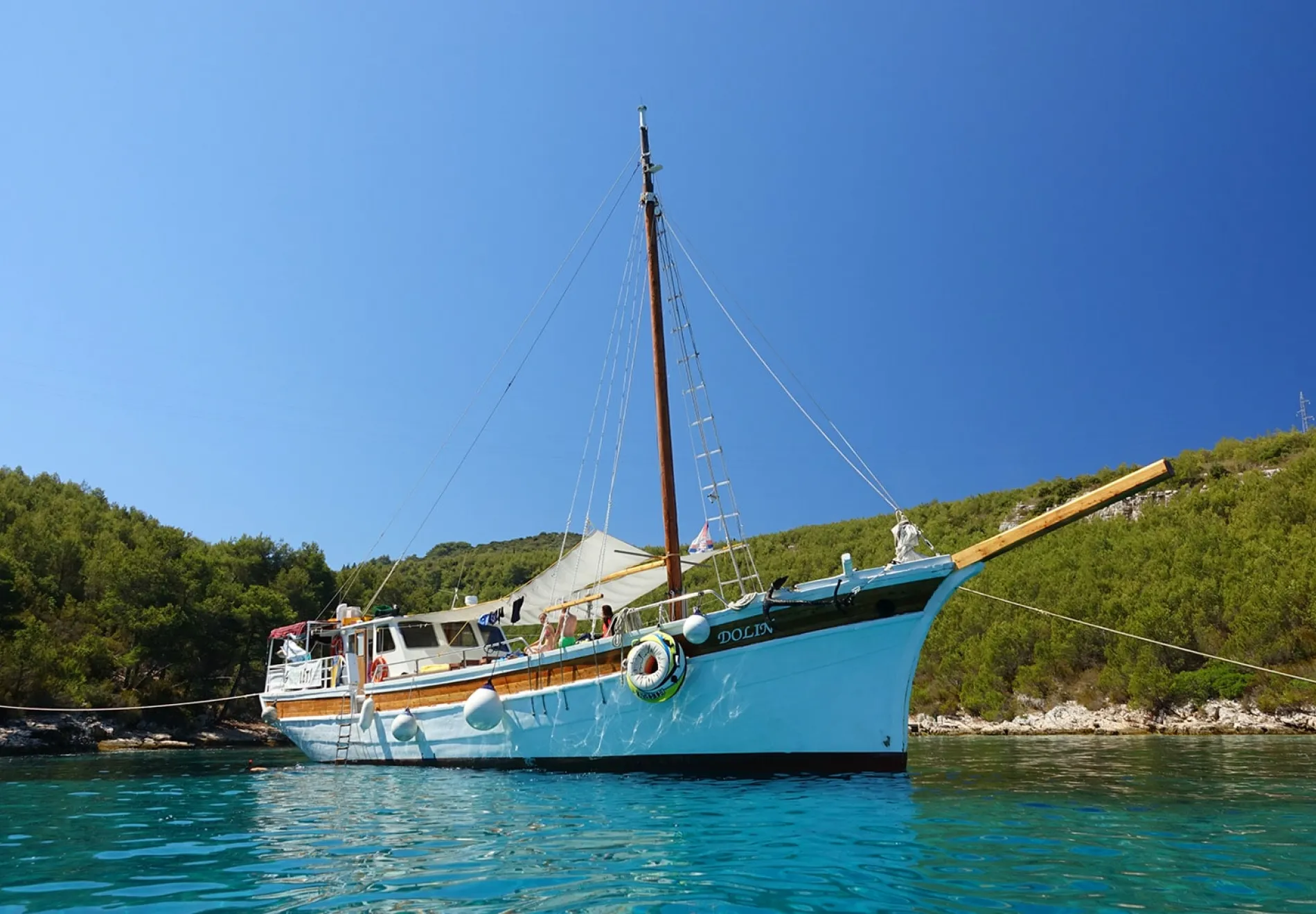 DOLIN Anchored