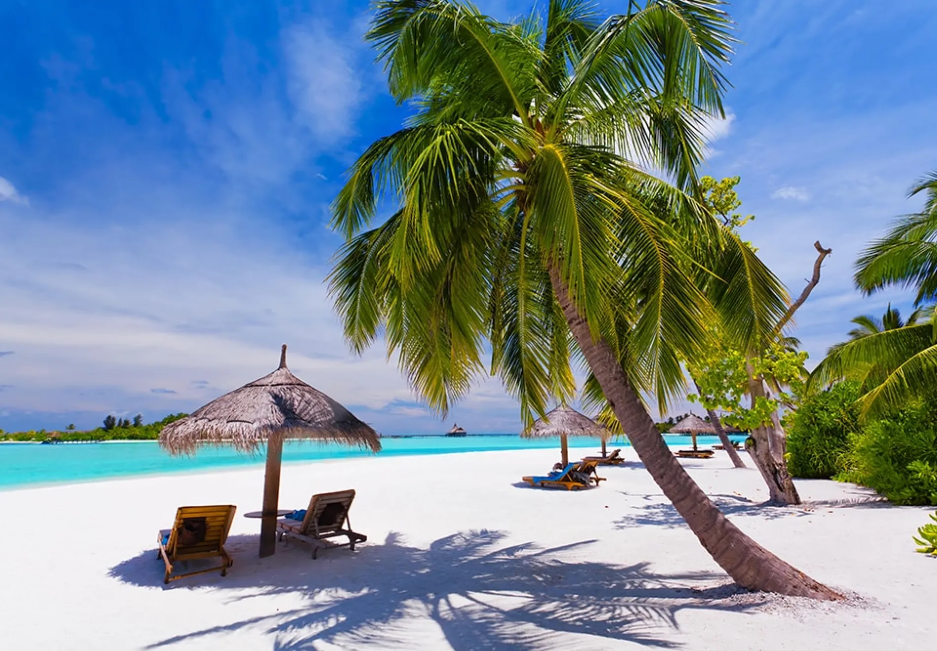 Deck-chairs-under-palm-trees-on-a-tropical-beach