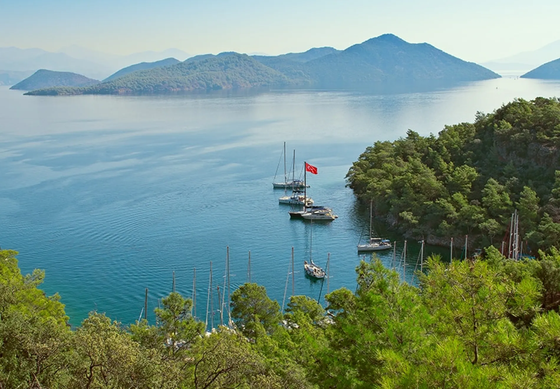 GOCEK