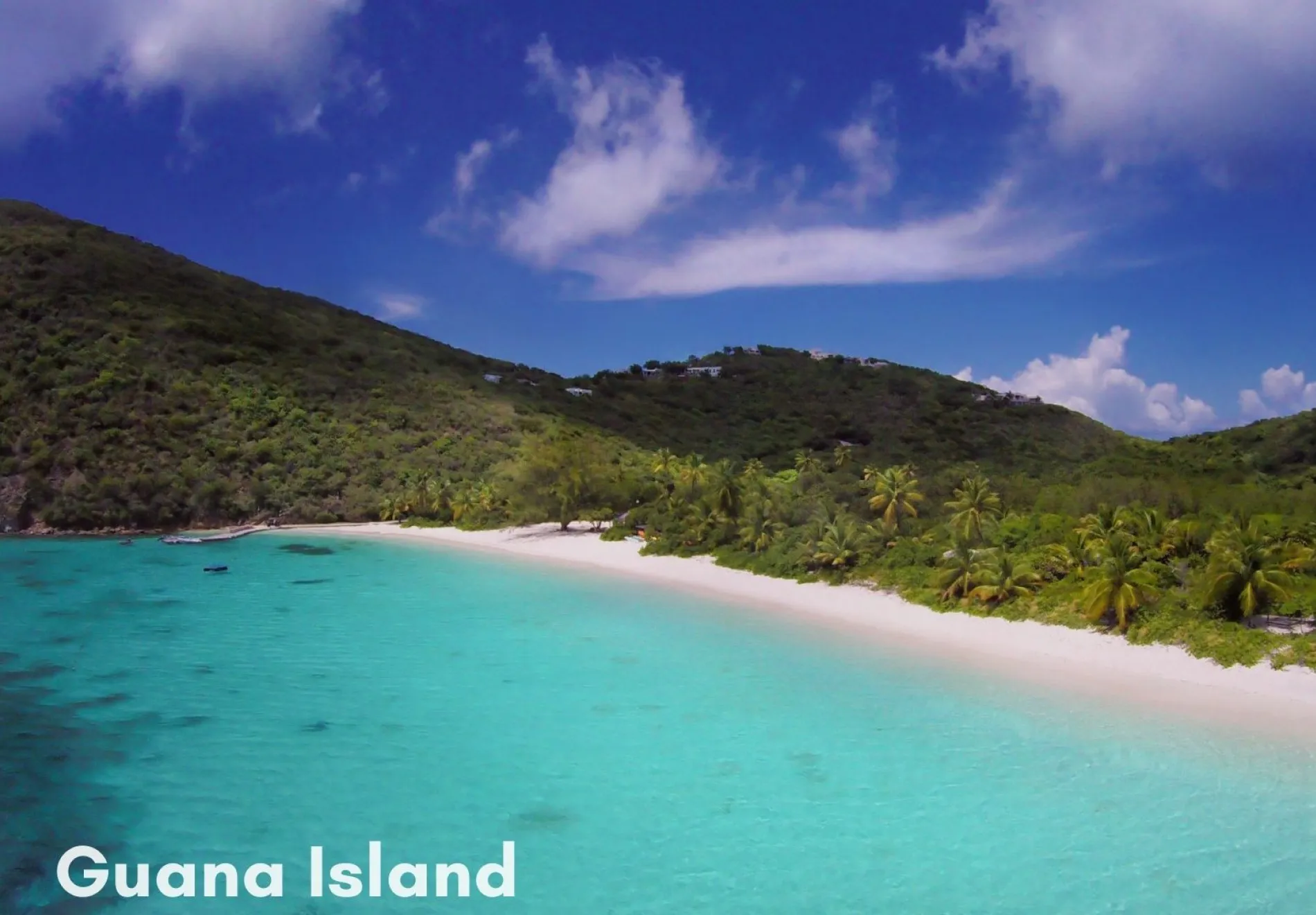 Guana Island