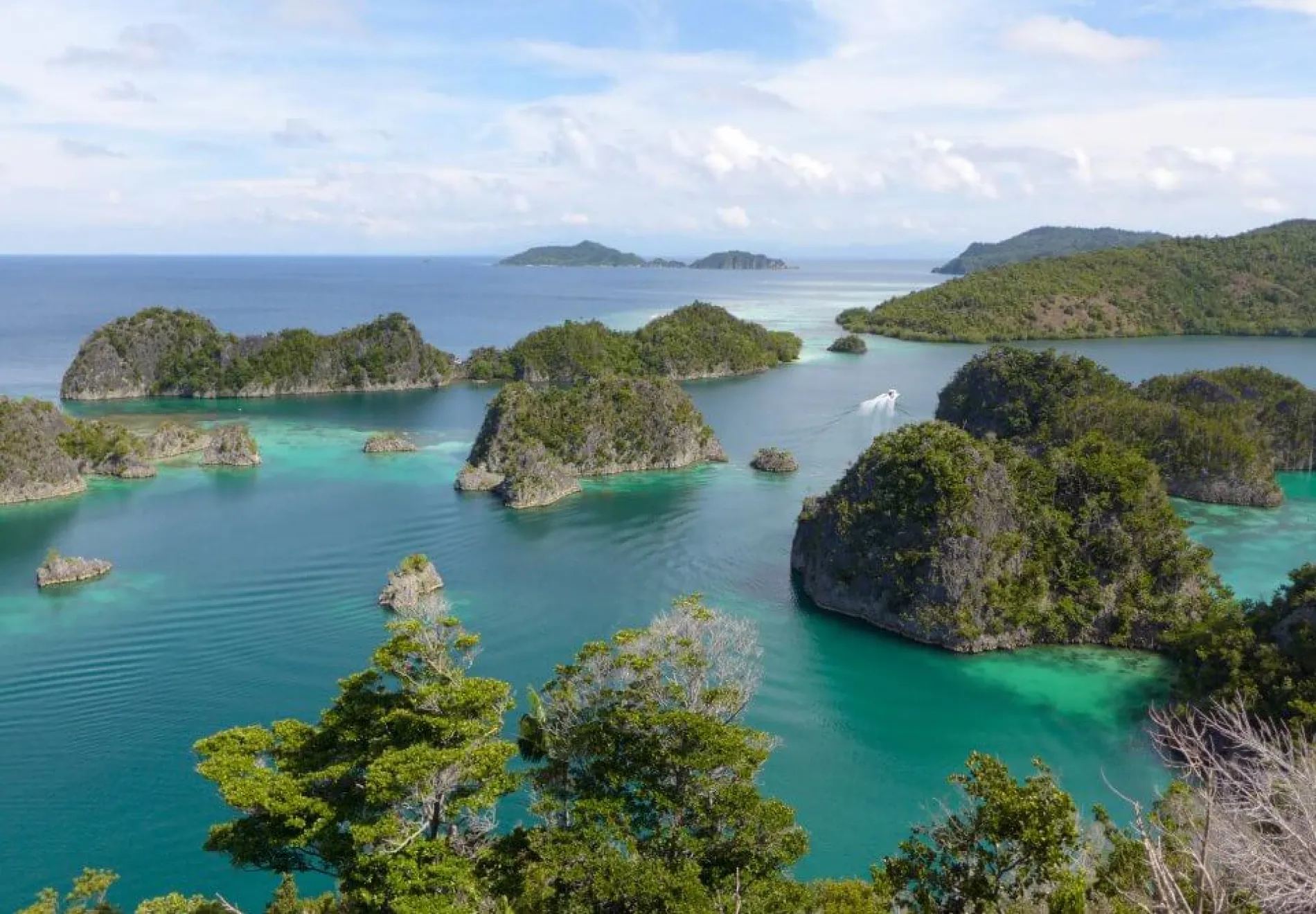 Heavenly-and-remote-islands.-Piaynemo-Lagoon-Fam-Archipelago-North-Raja-Ampat-1