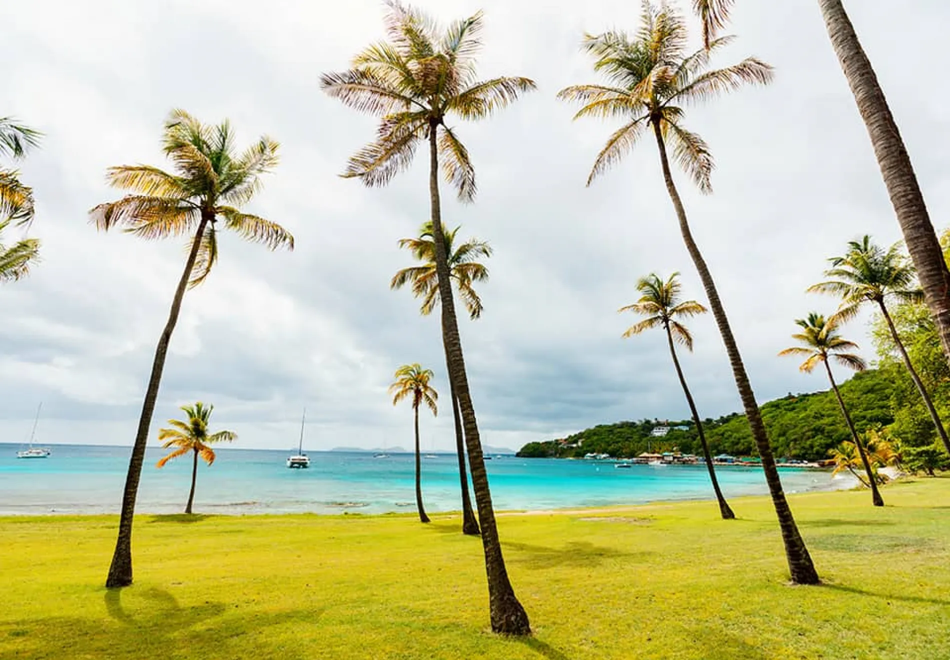 Idyllic-tropical-beach-with-white-sand-palm-trees-and-turquoise-Caribbean-sea-water-on-Mustique-island-in-St-Vincent-and-the-Grenadines