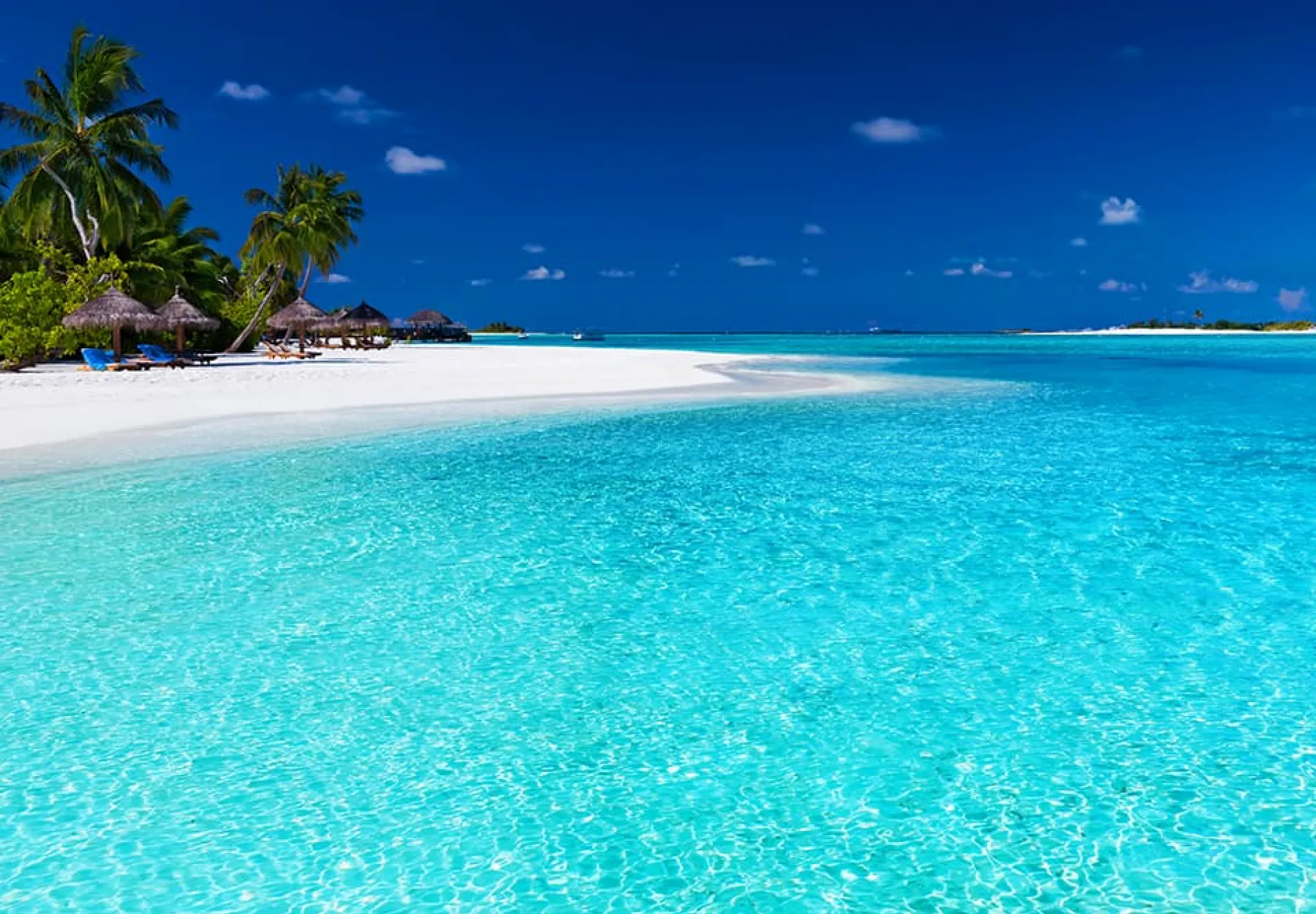 Palm-trees-over-stunning-lagoon-and-white-beach