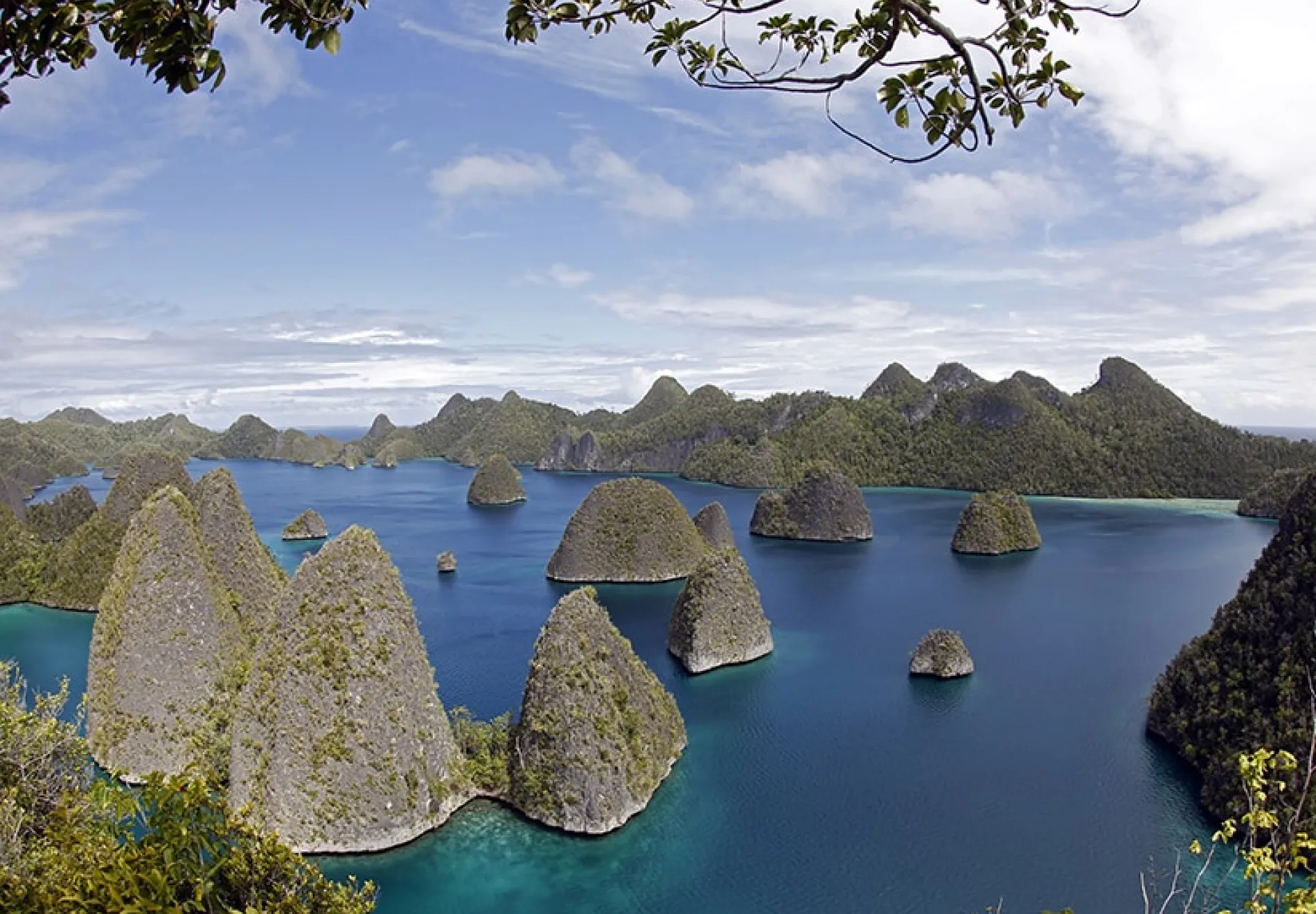 RAJA AMPAT