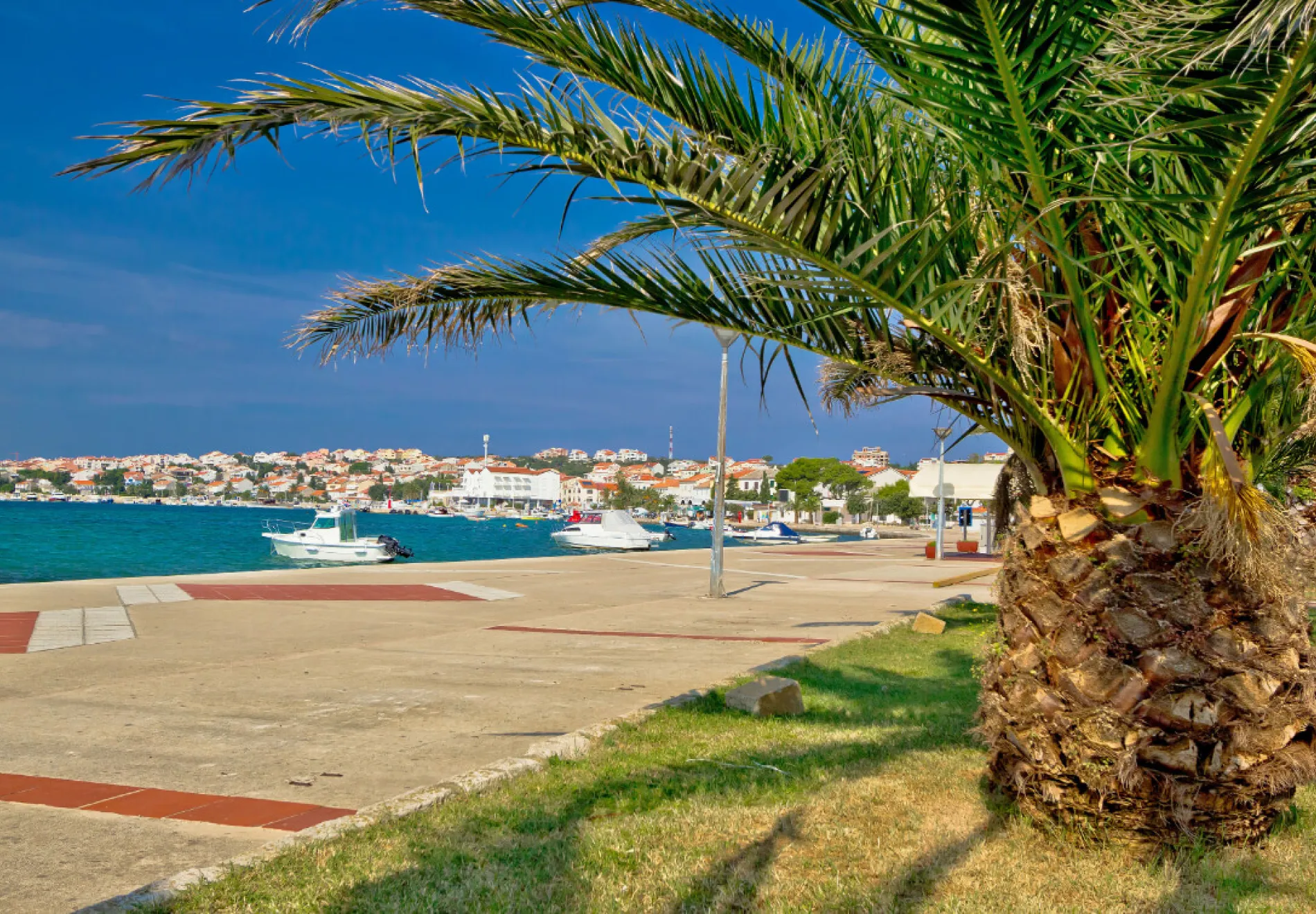 Town of Novalja palm waterfront view island of Pag in Dalmatia Croatia