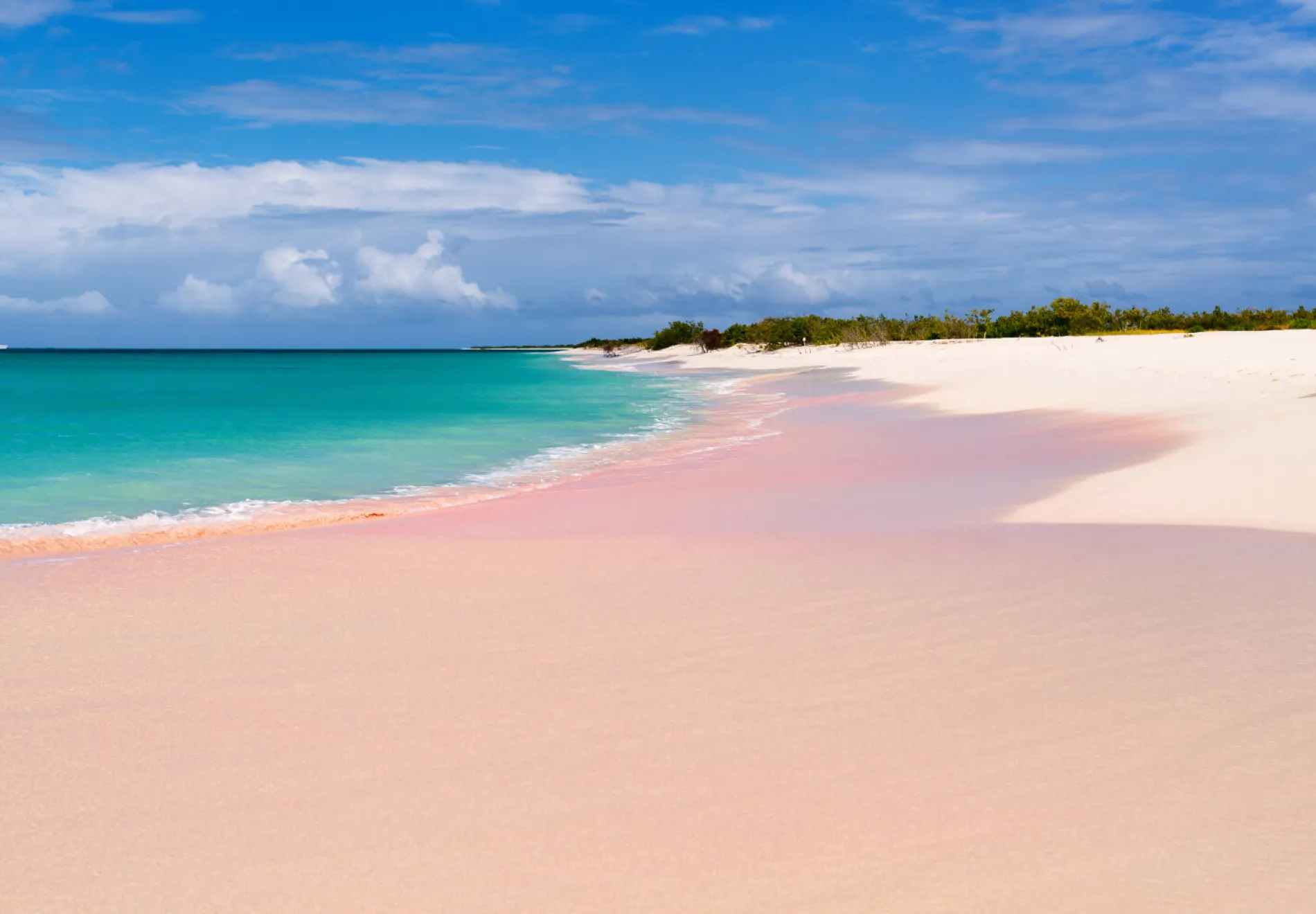 Tropical beach on Barbuda island