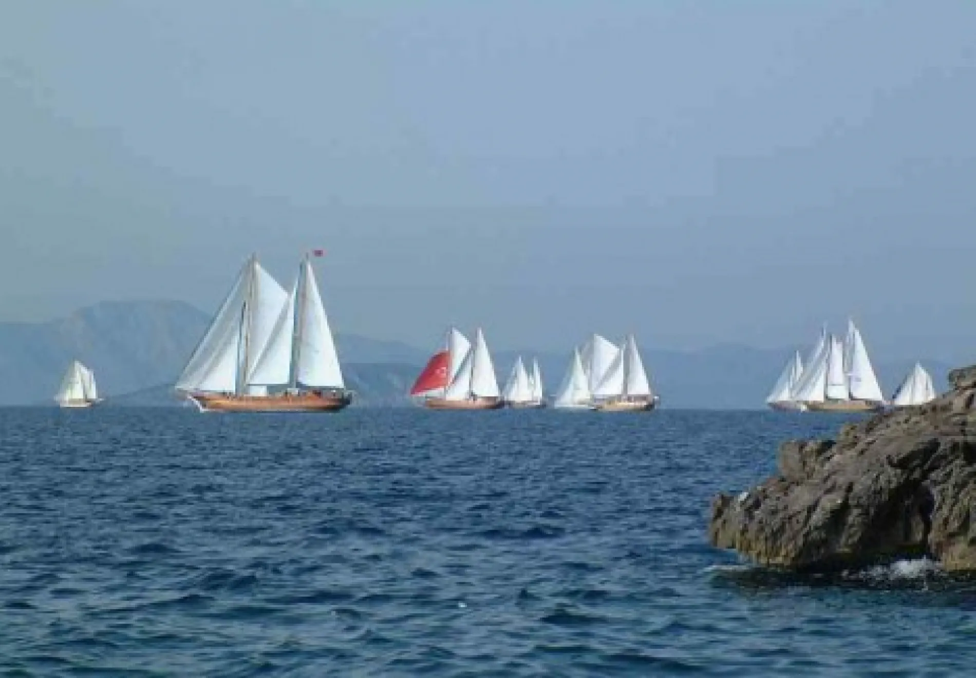 bodrum regata