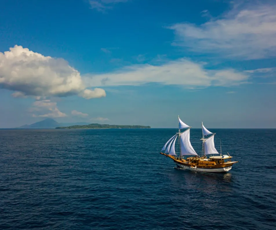 LEYLA Sailing