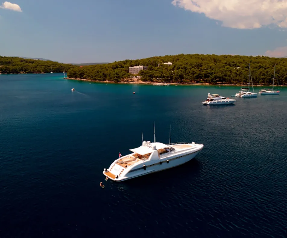 SPEEDY T Anchored