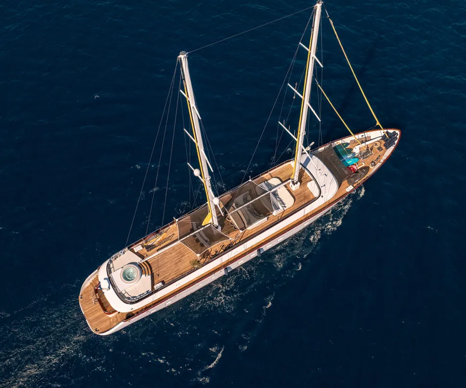 ANIMA MARIS Aerial view