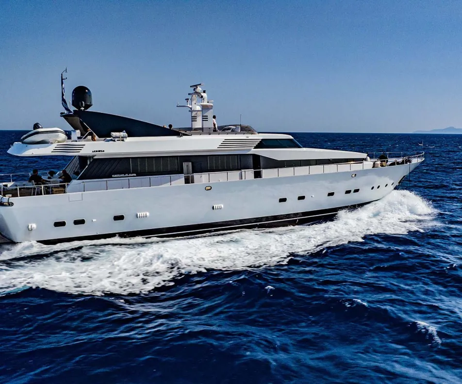 BELLINI Cruising