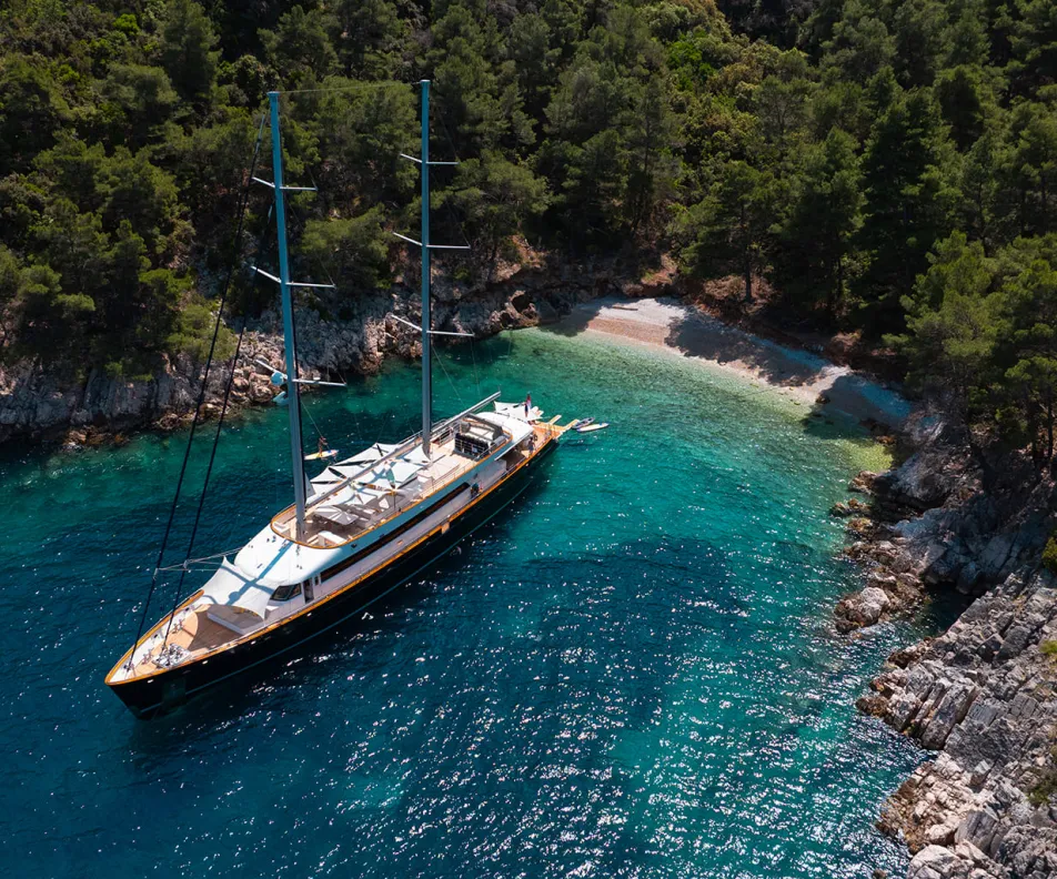 DALMATINO Anchored