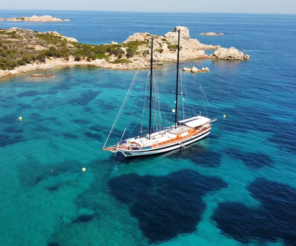 ELIANORA Anchored