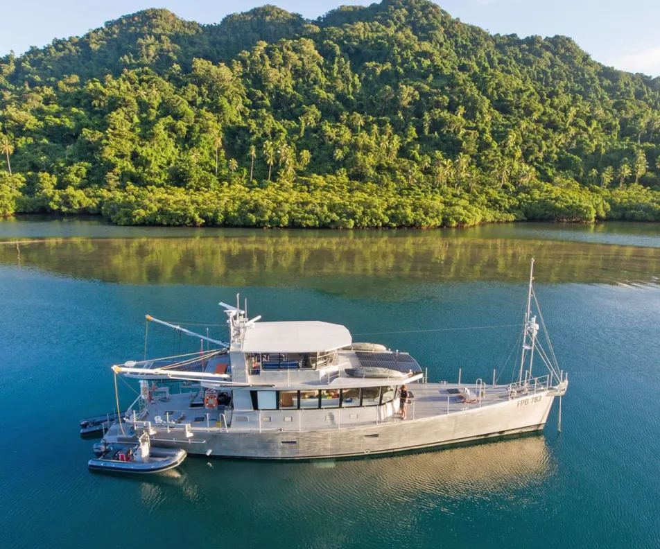 GREY WOLF Anchored