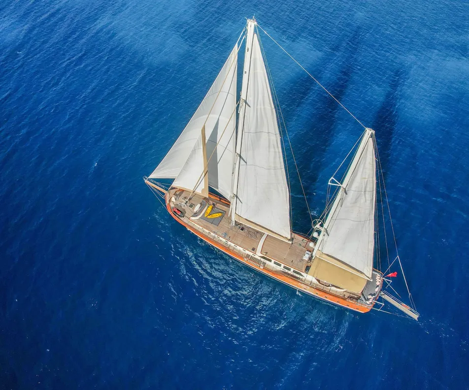LA BELLA VITA Aerial view