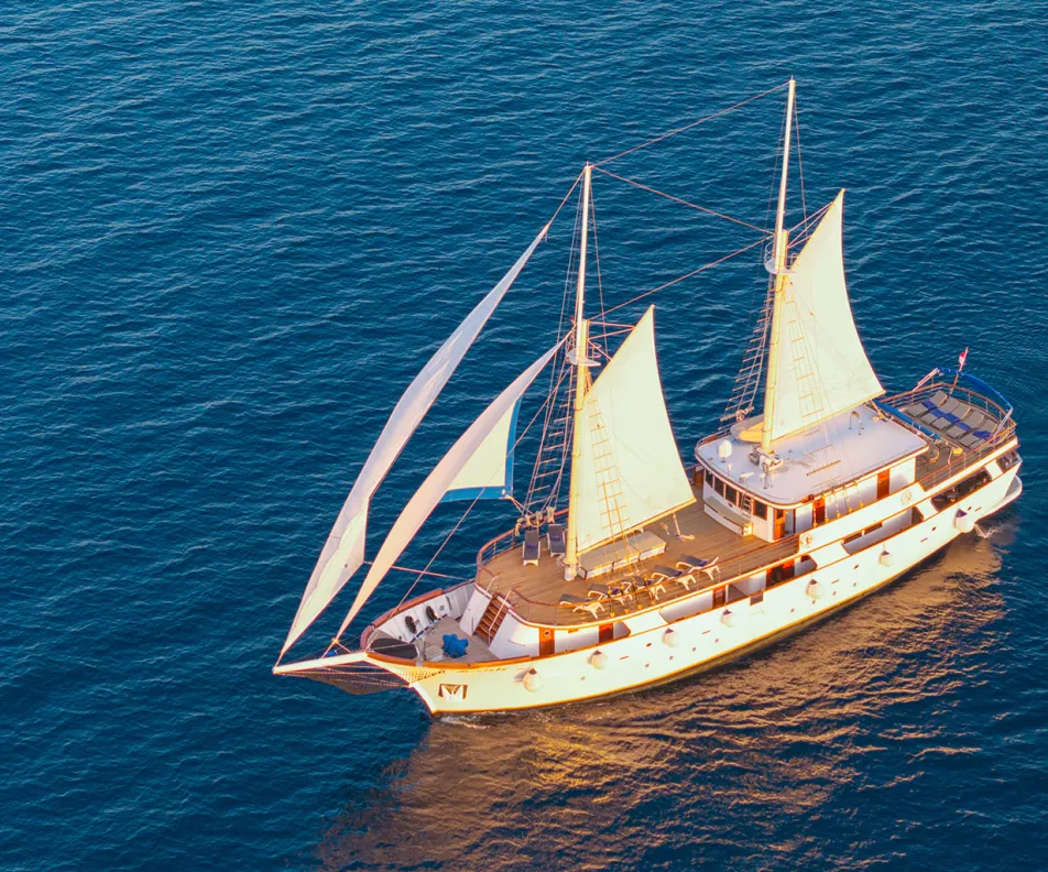 MENDULA Sailing
