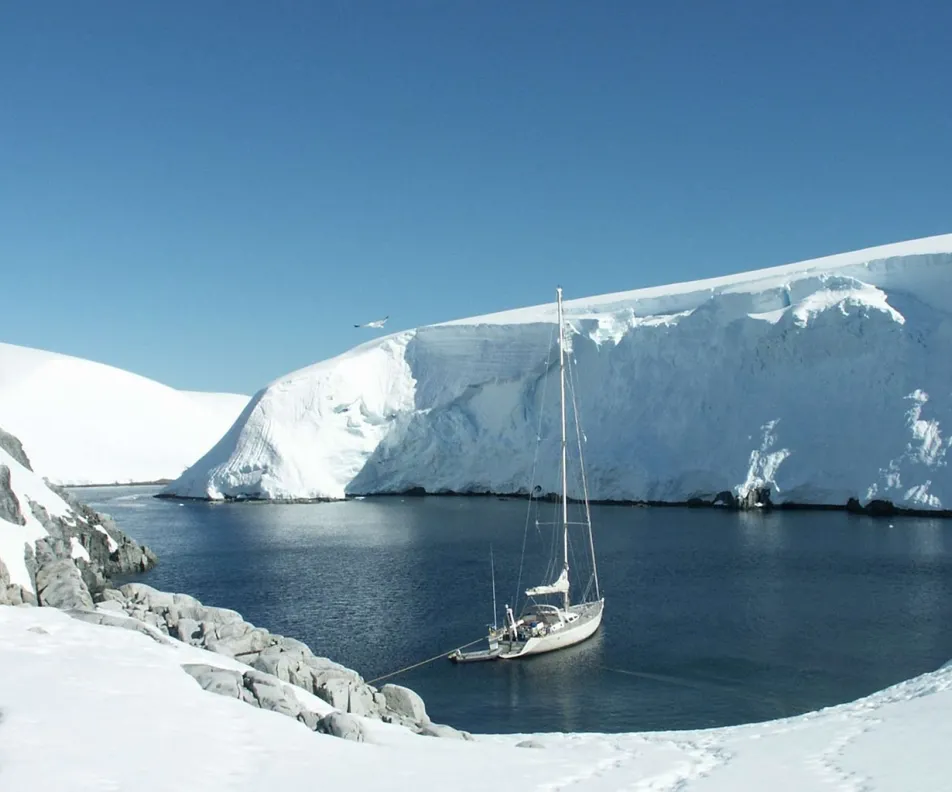 TANANA Anchored