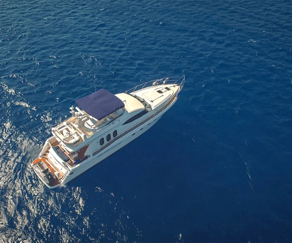 VENALI Aerial view