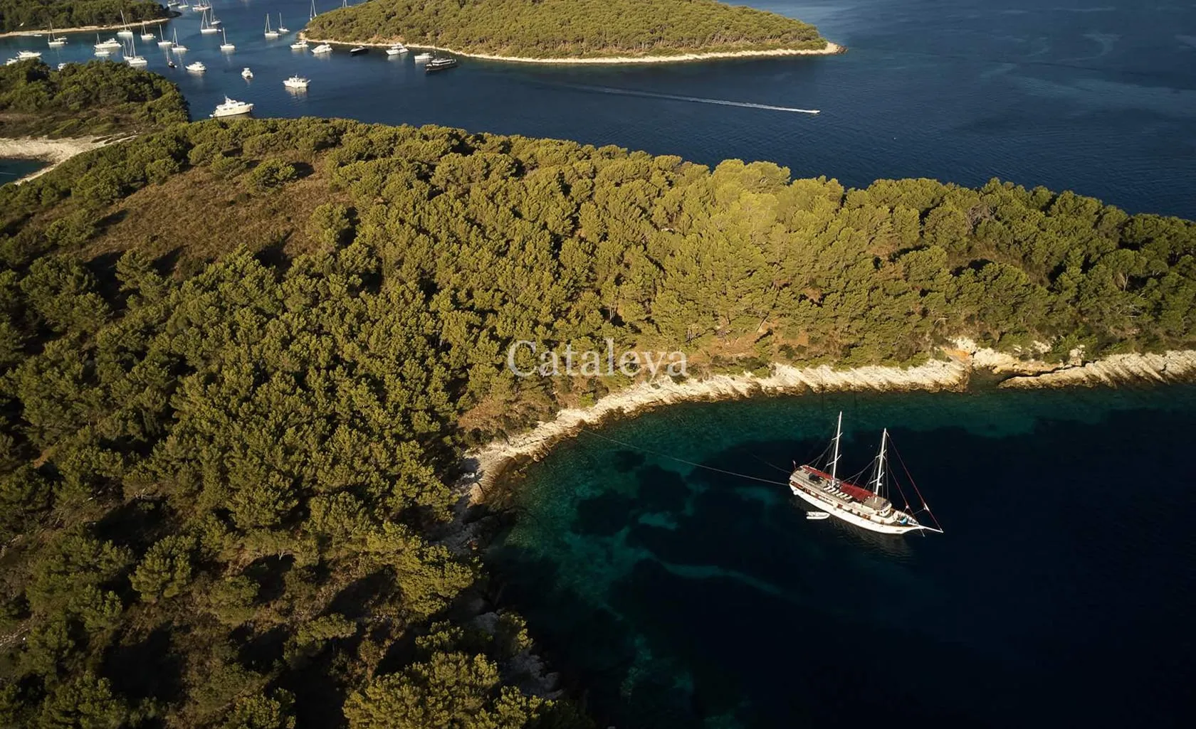 CATALEYA Aerial view