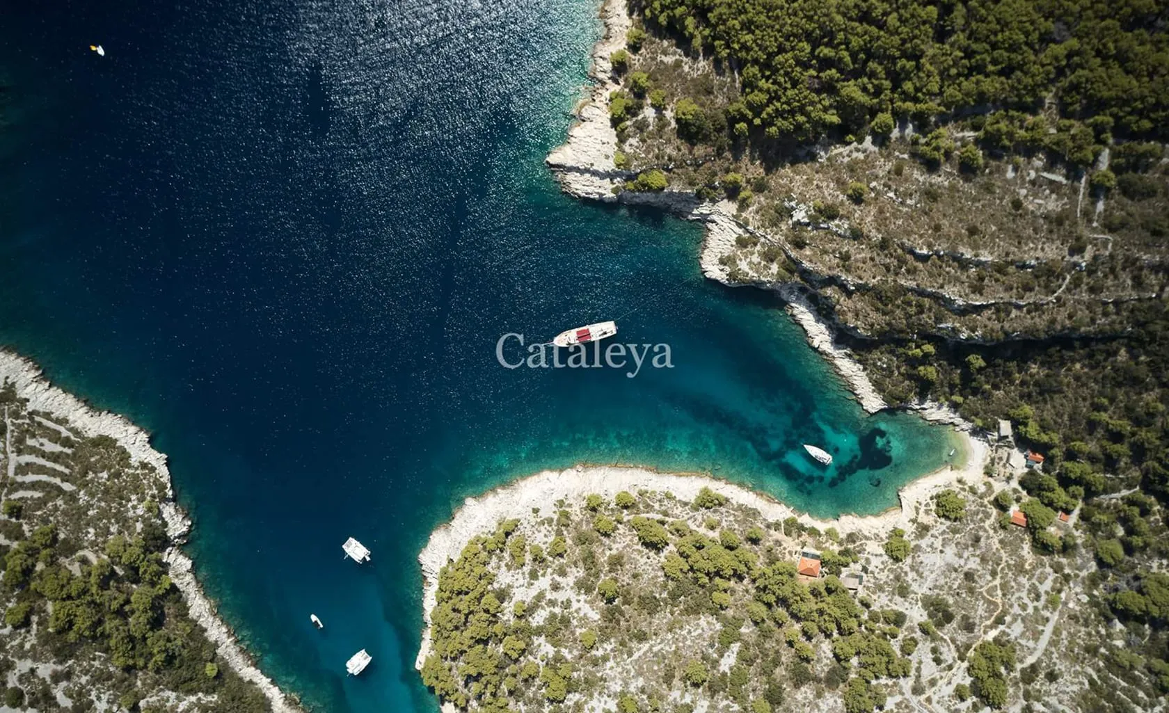 CATALEYA Aerial view