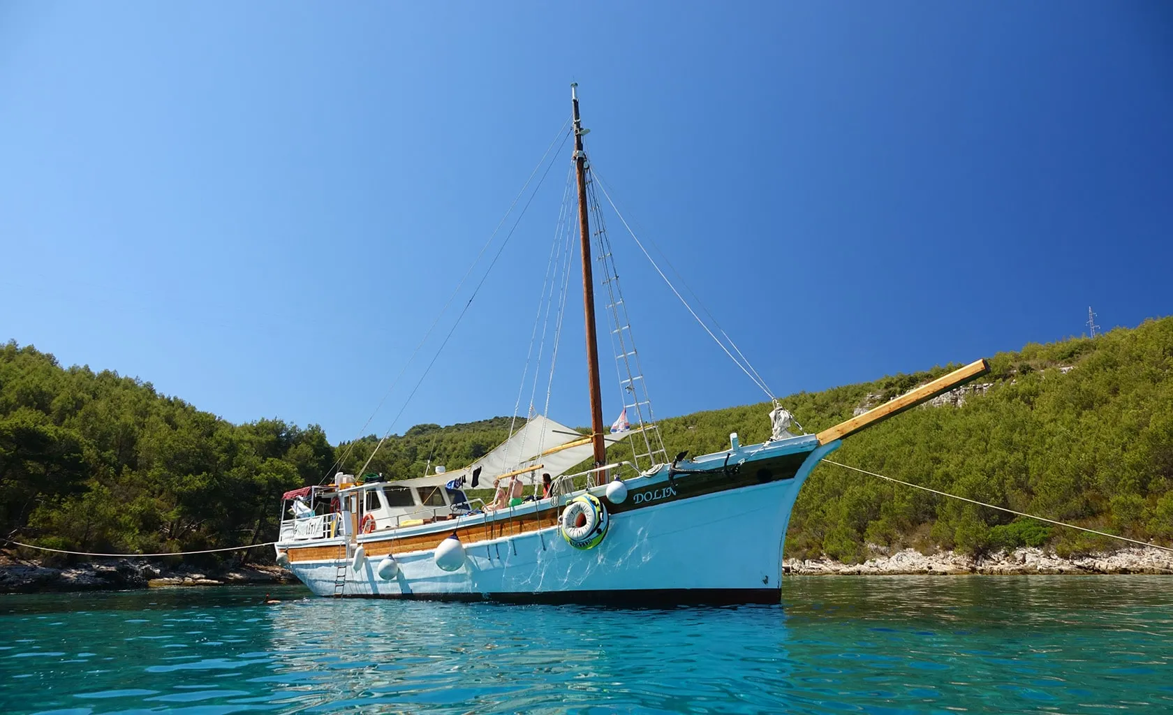 DOLIN Anchored