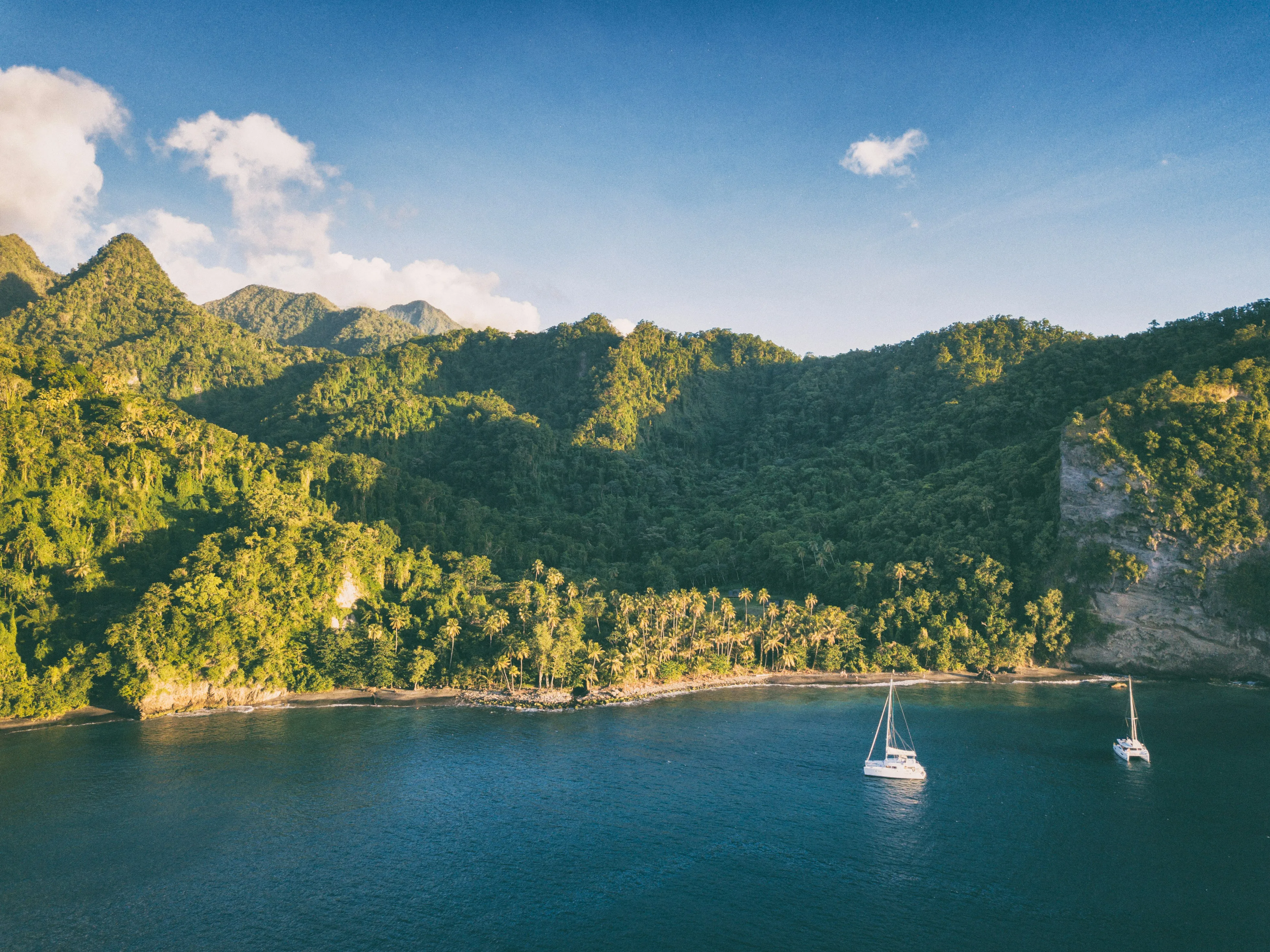 caribbean