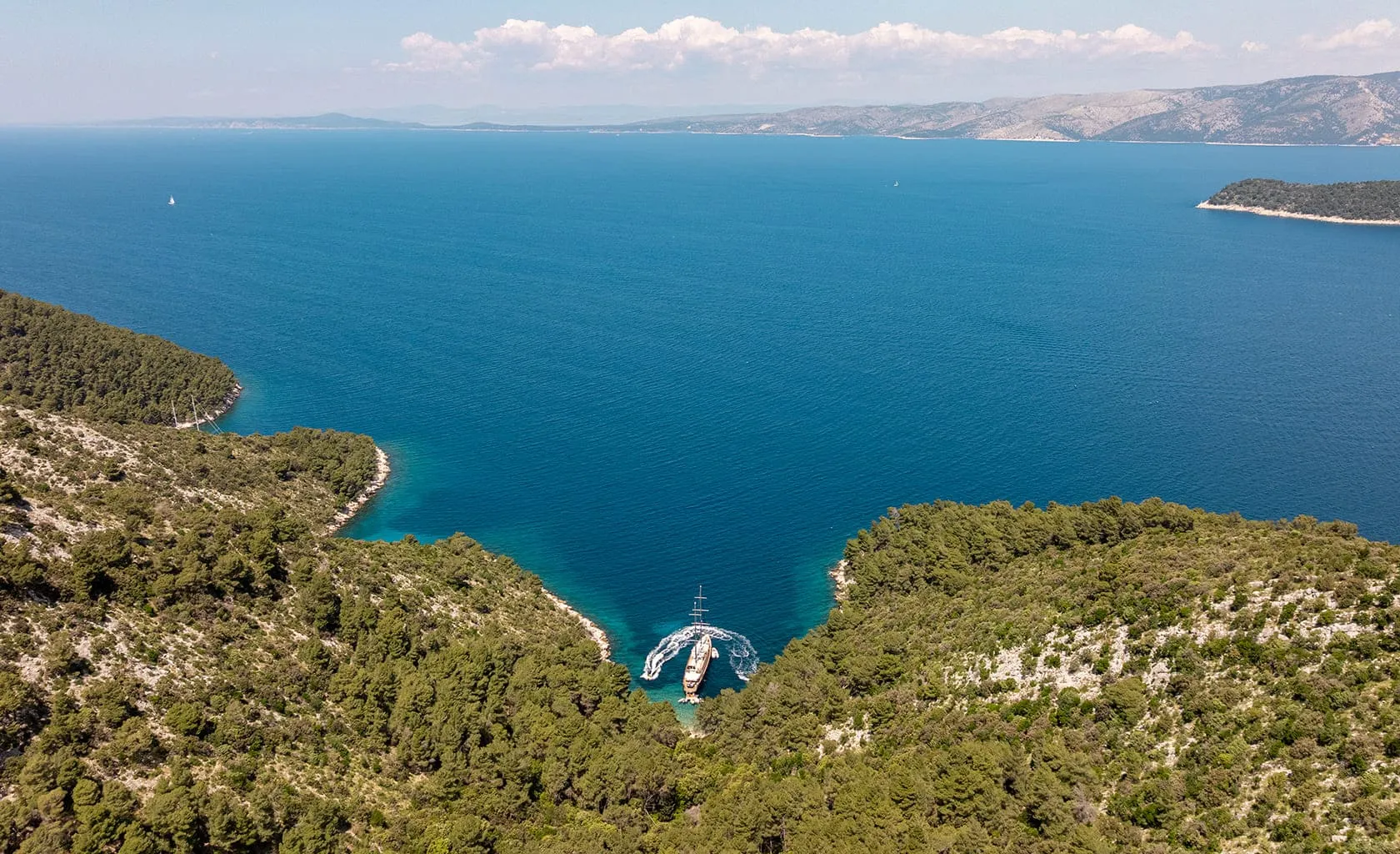 DALMATINO Anchored
