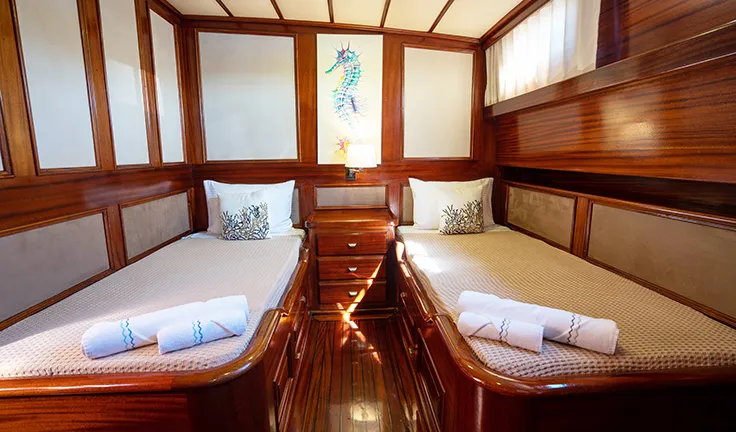 ELIANORA Twin cabin