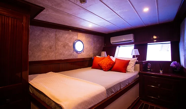 QUEEN OF RTT Double cabin