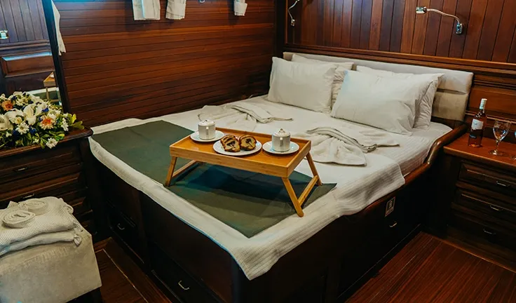 WICKED FELINA Double cabin
