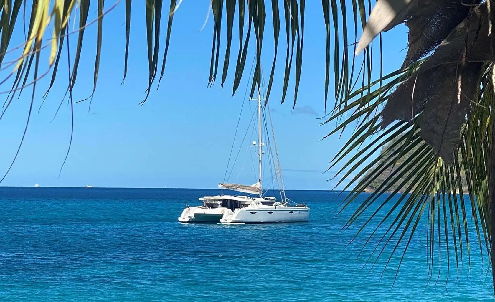 MOBY DICK Anchored