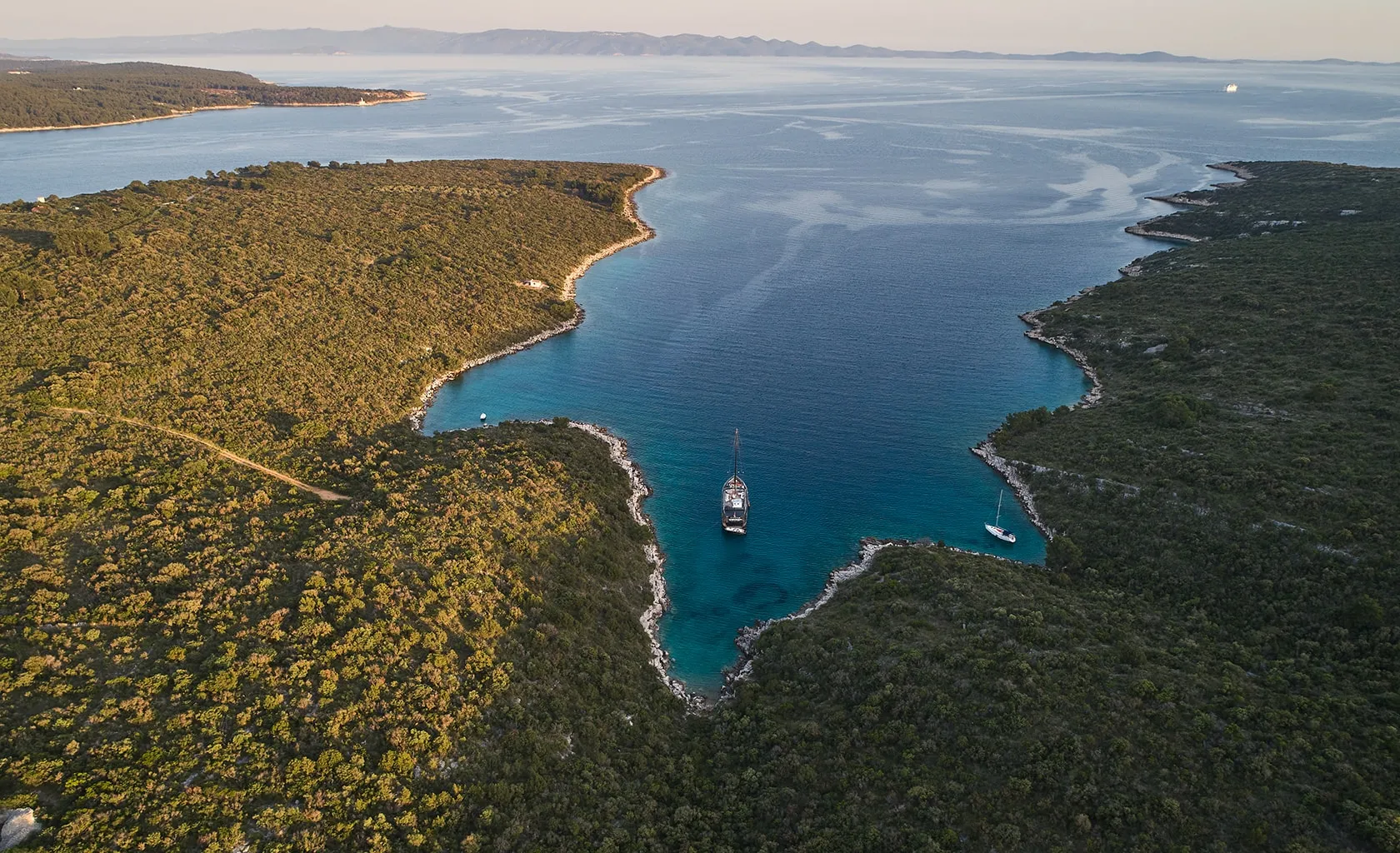 RARA AVIS Aerial view